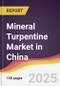 Mineral Turpentine Market in China - Product Thumbnail Image