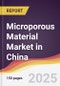 Microporous Material Market in China - Product Thumbnail Image