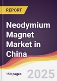 Neodymium Magnet Market in China- Product Image