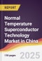 Normal Temperature Superconductor Technology Market in China - Product Thumbnail Image