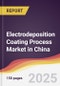Electrodeposition Coating Process Market in China - Product Thumbnail Image