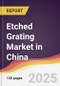 Etched Grating Market in China - Product Thumbnail Image