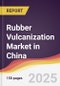 Rubber Vulcanization Market in China - Product Thumbnail Image