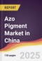Azo Pigment Market in China - Product Thumbnail Image