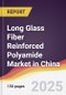 Long Glass Fiber Reinforced Polyamide Market in China - Product Thumbnail Image