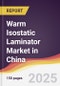 Warm Isostatic Laminator Market in China - Product Thumbnail Image