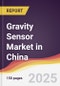 Gravity Sensor Market in China - Product Thumbnail Image