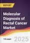 Molecular Diagnosis of Rectal Cancer Market Report: Trends, Forecast and Competitive Analysis to 2031 - Product Thumbnail Image