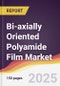 Bi-axially Oriented Polyamide Film Market Report: Trends, Forecast and Competitive Analysis to 2031 - Product Thumbnail Image