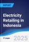 Electricity Retailing in Indonesia - Product Thumbnail Image
