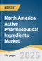 North America Active Pharmaceutical Ingredients Market Size, Share & Trends Analysis Report by Type of Synthesis (Biotech, Synthetic), Type of Manufacturer, Type, Application (Oncology, Endocrinology, Pulmonology), and Country with Growth Forecasts, 2025-2033 - Product Thumbnail Image