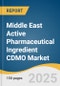 Middle East Active Pharmaceutical Ingredient CDMO Market Size, Share & Trends Analysis Report by Product (Traditional API, HP-API, Biologics) by Synthesis (Synthetic, Biotech), Drug, Application, Workflow, and Region with Growth Forecasts, 2025-2033 - Product Thumbnail Image