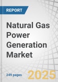 Natural Gas Power Generation Market by Technology, End User, Fuel Source, Power Output, and Region - Global Forecast to 2030- Product Image