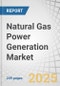 Natural Gas Power Generation Market by Technology, End User, Fuel Source, Power Output, and Region - Global Forecast to 2030 - Product Thumbnail Image