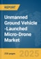 Unmanned Ground Vehicle (UGV)-Launched Micro-Drone Market Report 2025 - Product Thumbnail Image