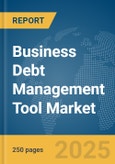 Business Debt Management Tool Market Report 2025- Product Image