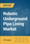 Robotic Underground Pipe Lining Market Report 2025 - Product Image