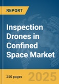 Inspection Drones in Confined Space Market Report 2025- Product Image