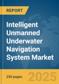 Intelligent Unmanned Underwater Navigation System Market Report 2025- Product Image