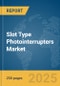 Slot Type Photointerrupters Market Report 2025 - Product Thumbnail Image