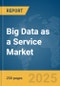 Big Data as a Service (BDaaS) Market Report 2025 - Product Thumbnail Image