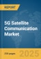 5G Satellite Communication Market Report 2025 - Product Thumbnail Image
