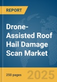 Drone-Assisted Roof Hail Damage Scan Market Report 2025- Product Image