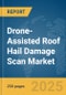 Drone-Assisted Roof Hail Damage Scan Market Report 2025 - Product Image