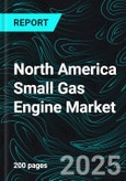 North America Small Gas Engine Market Report by Engine Displacement, Application, Equipment, Country and Company Analysis, 2025-2033- Product Image