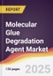 Molecular Glue Degradation Agent Market Report: Trends, Forecast and Competitive Analysis to 2031 - Product Thumbnail Image