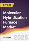 Molecular Hybridization Furnace Market Report: Trends, Forecast and Competitive Analysis to 2031- Product Image