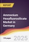 Ammonium Hexafluorosilicate Market in Germany - Product Thumbnail Image