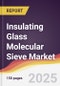 Insulating Glass Molecular Sieve Market Report: Trends, Forecast and Competitive Analysis to 2031 - Product Thumbnail Image