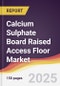 Calcium Sulphate Board Raised Access Floor Market Report: Trends, Forecast and Competitive Analysis to 2031 - Product Image
