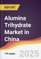 Alumina Trihydrate Market in China - Product Thumbnail Image