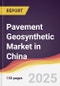 Pavement Geosynthetic Market in China - Product Thumbnail Image