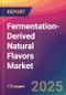 Fermentation-Derived Natural Flavors Market Size, Market Share, Application Analysis, Regional Outlook, Growth Trends, Key Players, Competitive Strategies and Forecasts, 2025-2033 - Product Thumbnail Image