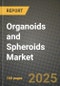 Organoids and Spheroids Market Outlook 2026-2034: Market Share, and Growth Analysis - Product Thumbnail Image