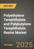Polyethylene Terephthalate (Pet) and Polybutylene Terephthalate (Pbt) Resins Market Outlook 2025-2034: Market Share, and Growth Analysis- Product Image