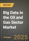 Big Data in the Oil and Gas Sector Market Outlook 2025-2034: Market Share, and Growth Analysis - Product Thumbnail Image