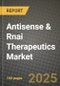 Antisense & Rnai Therapeutics Market Outlook 2025-2034: Market Share, and Growth Analysis - Product Thumbnail Image