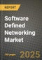 Software Defined Networking Market Outlook 2025-2034: Market Share, and Growth Analysis - Product Thumbnail Image