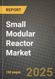 Small Modular Reactor Market Outlook 2025-2034: Market Share, and Growth Analysis- Product Image