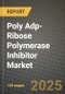 Poly Adp-Ribose Polymerase (Parp) Inhibitor Market Outlook 2025-2034: Market Share, and Growth Analysis - Product Thumbnail Image