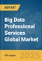 Big Data Professional Services Global Market Report 2025 - Product Thumbnail Image