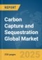 Carbon Capture and Sequestration (CCS) Global Market Report 2025 - Product Thumbnail Image