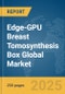 Edge-GPU Breast Tomosynthesis Box Global Market Report 2025 - Product Image