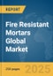 Fire Resistant Mortars Global Market Report 2025 - Product Thumbnail Image