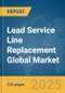Lead Service Line Replacement Global Market Report 2025 - Product Thumbnail Image