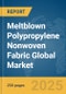 Meltblown Polypropylene (PP) Nonwoven Fabric Global Market Report 2025 - Product Thumbnail Image